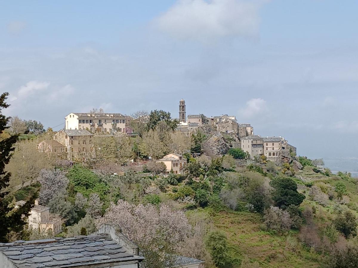 Casa Pernice Penta di Casinca